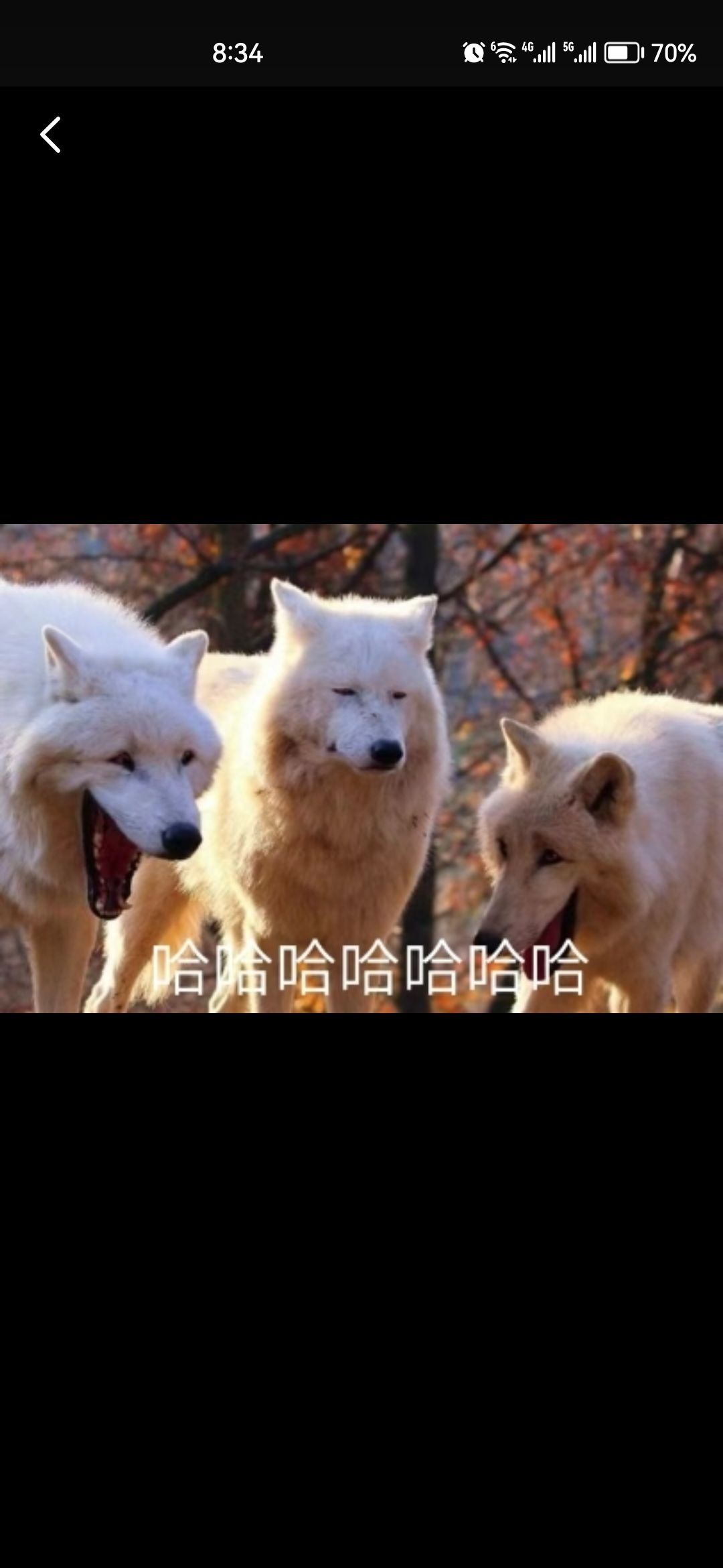 当背刺成为常态《火炬之光无限》的信任崩塌 1