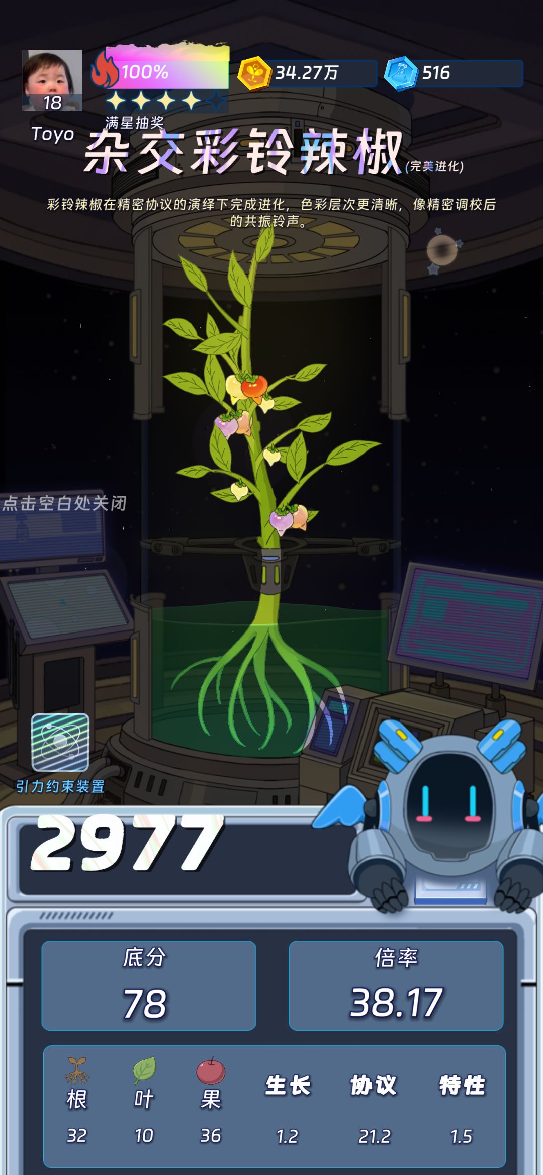 四美 1