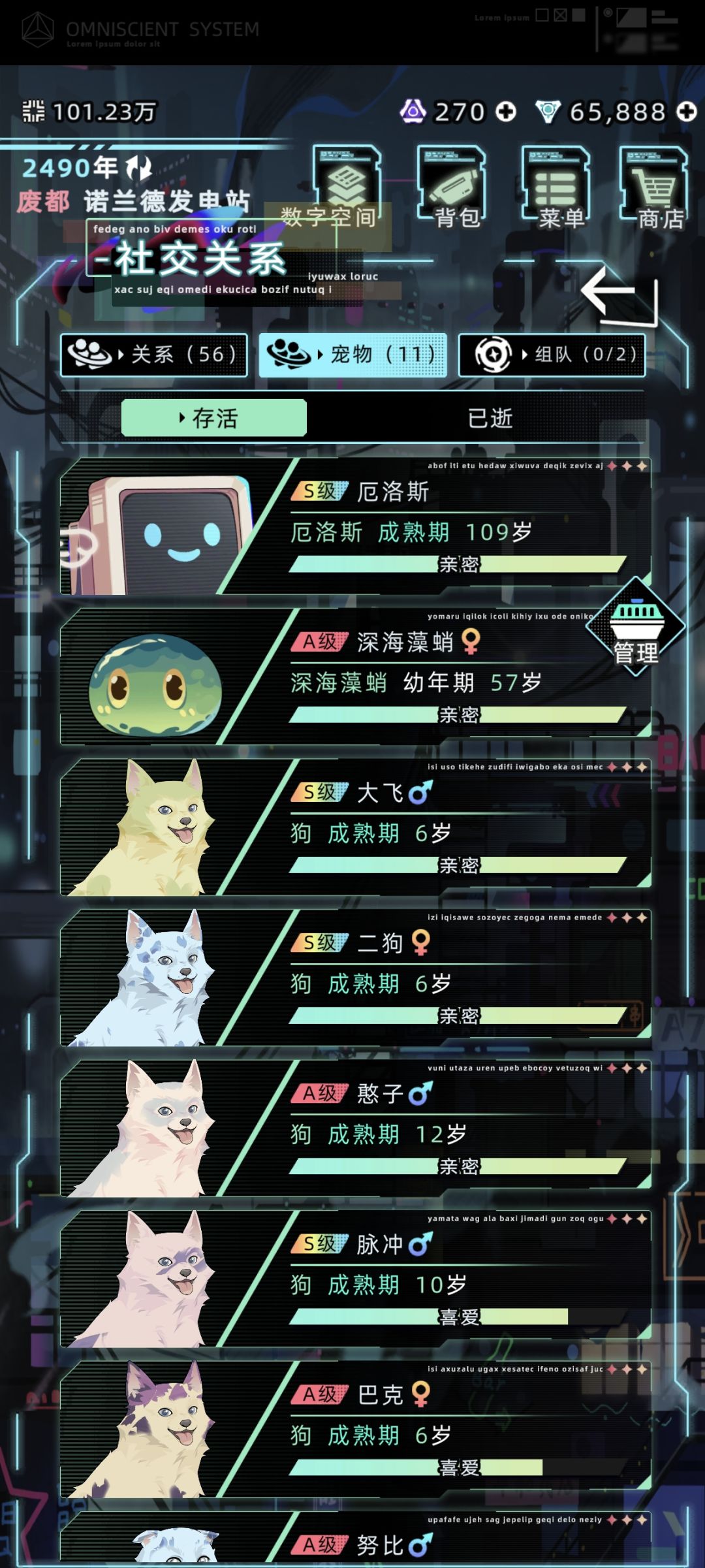 哇塞两胎都是三只狗! 7
