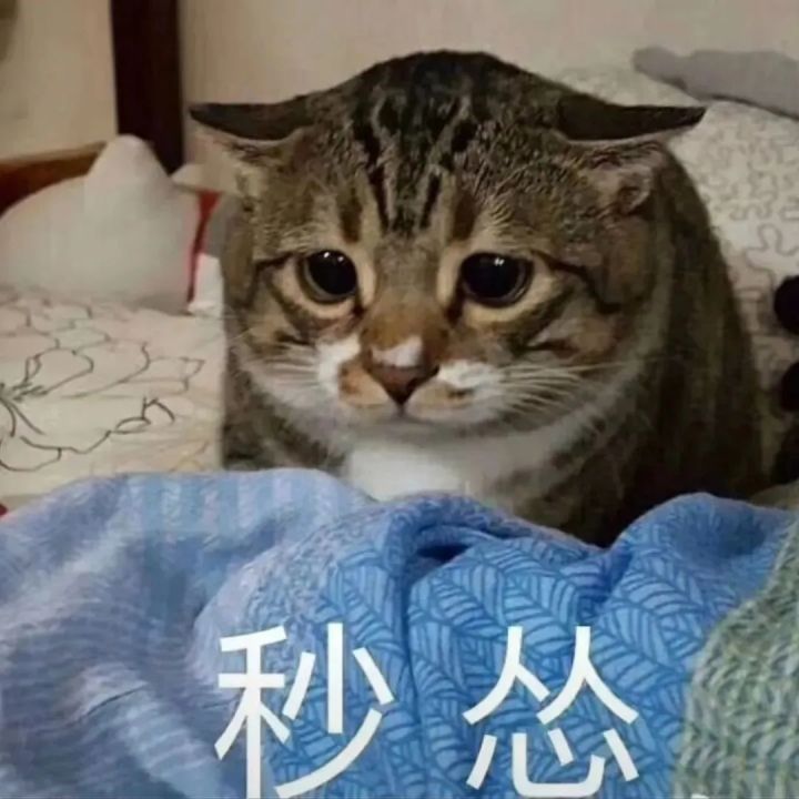 是抽长命锁还是等烛啊截图