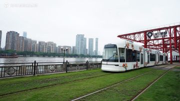 活动回顾：广州琶醍万棵树苗展播活动