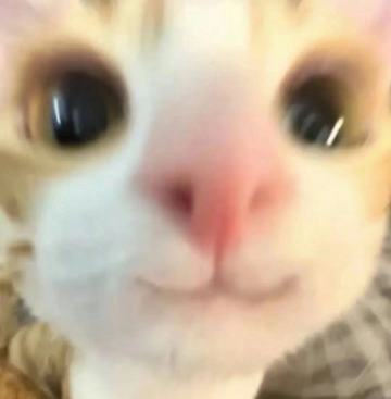 关于近日服务器问题的一段致歉