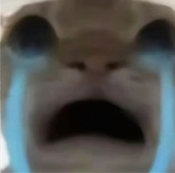 她突然凑近问我。 2