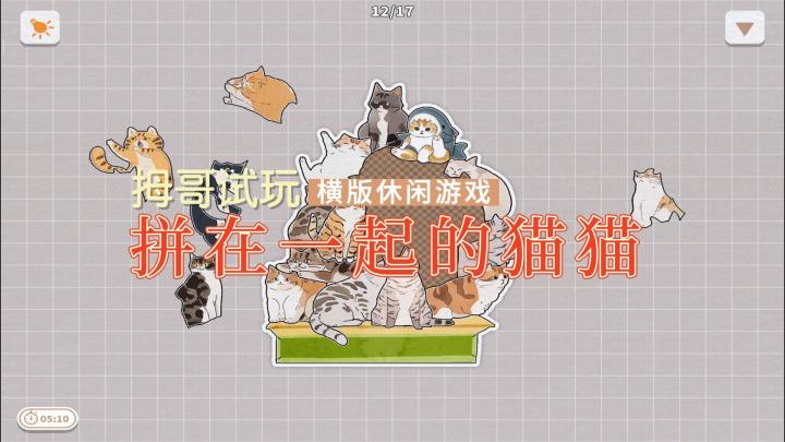 【挤在一起的猫猫】游戏试玩实况解说截图
