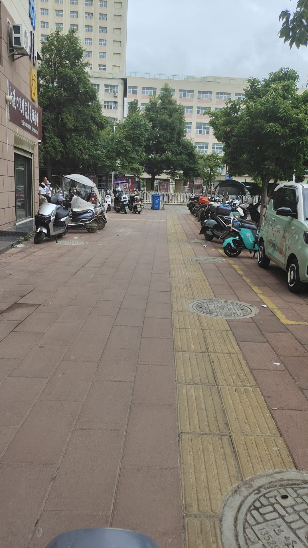 动态图片 12