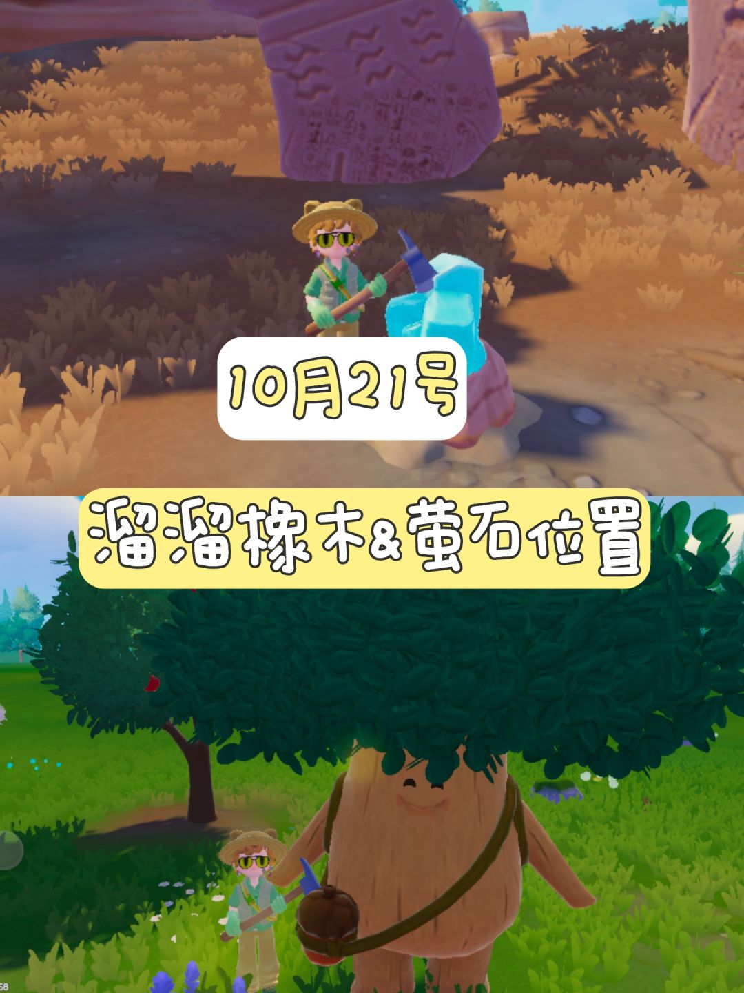 10月21号 溜溜橡木&萤石位置更新截图