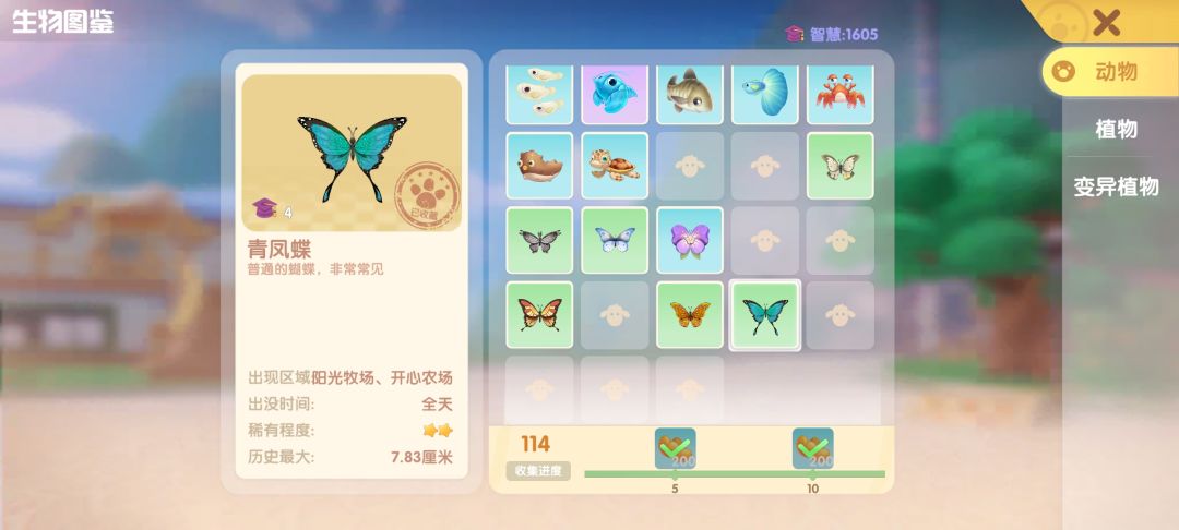 动态图片 7