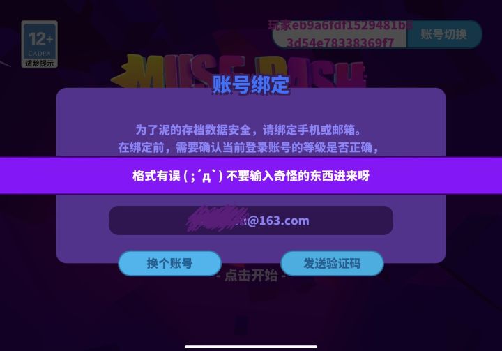 麻烦请问一下这个是只能填手机号吗?截图