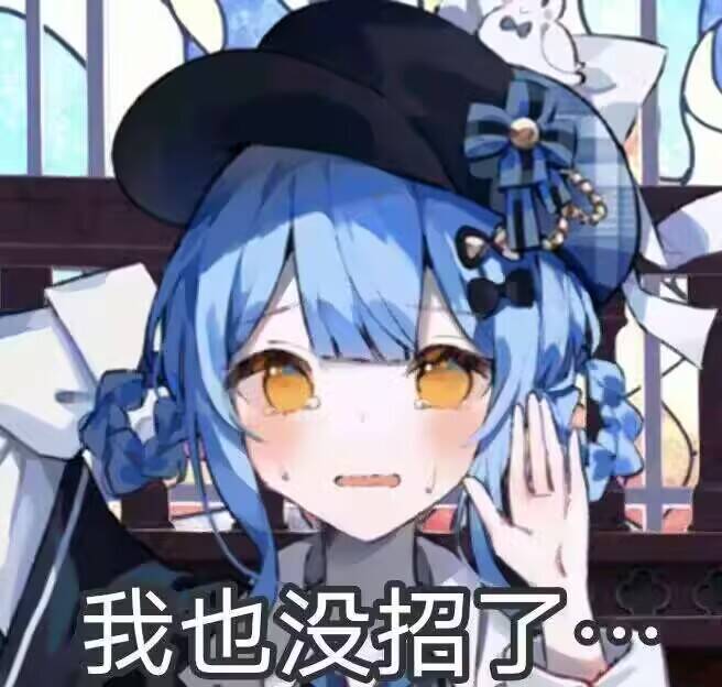 耄耋攻略组12:弦枝补完计划 2