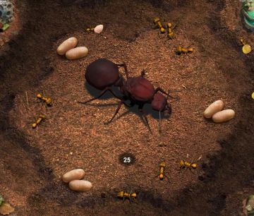 【环游蚁国】蚁后的一生