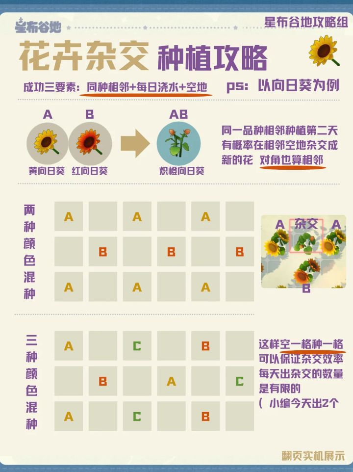 如何杂交?一步教会你种出稀有花卉!截图