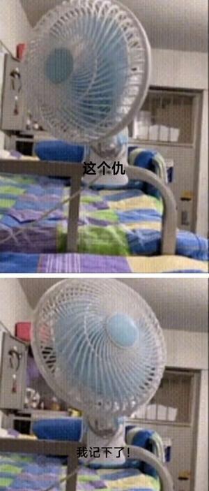 不是,哥们? 3