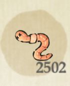 2502鱼饵🐛 2