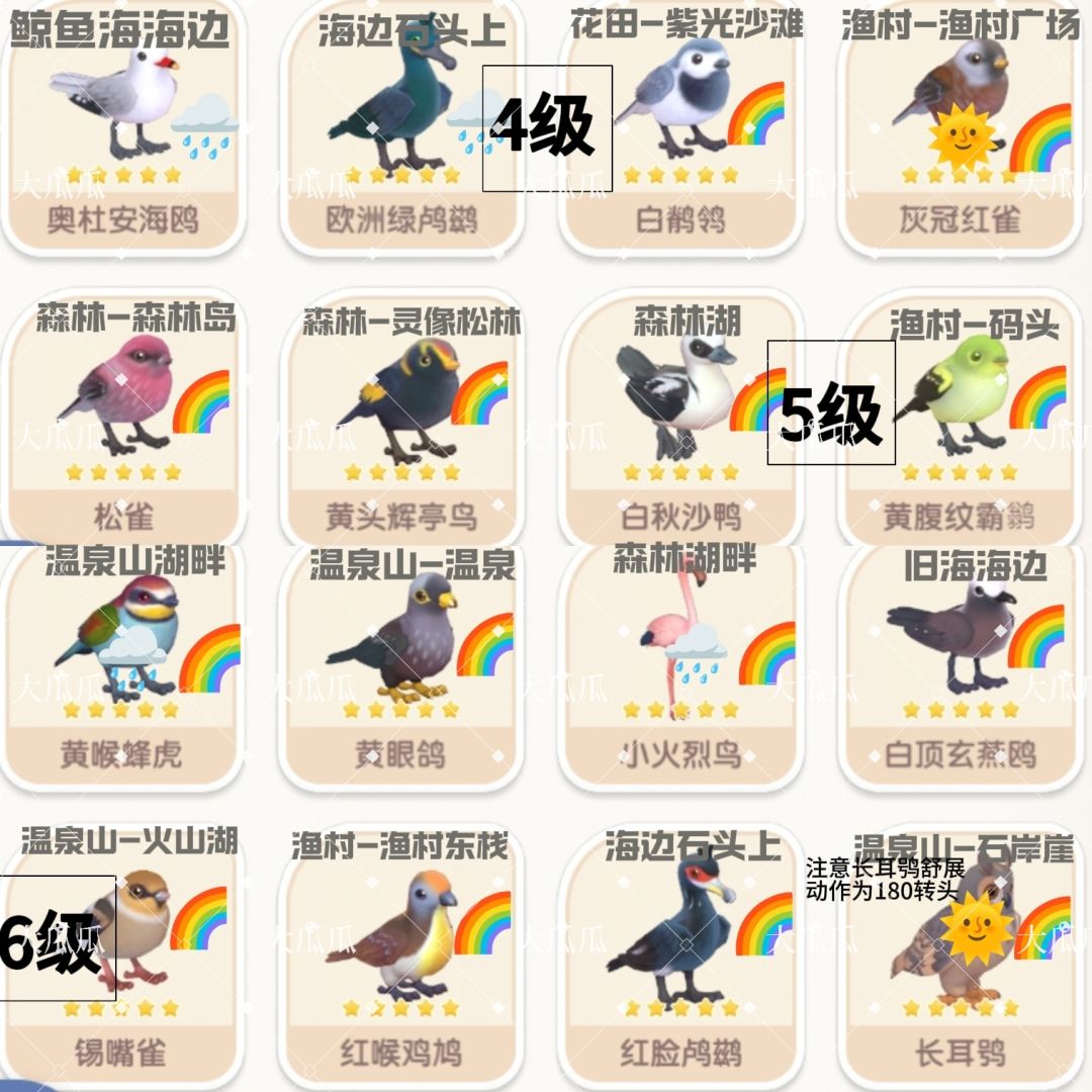 目前最全的观鸟攻略,包括5星可拍时间段 3