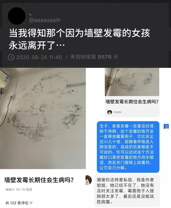 原来墙上发霉真的会出大事儿截图