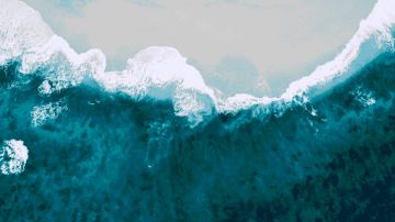 【残梦小站】听说你还没有养祖龙？