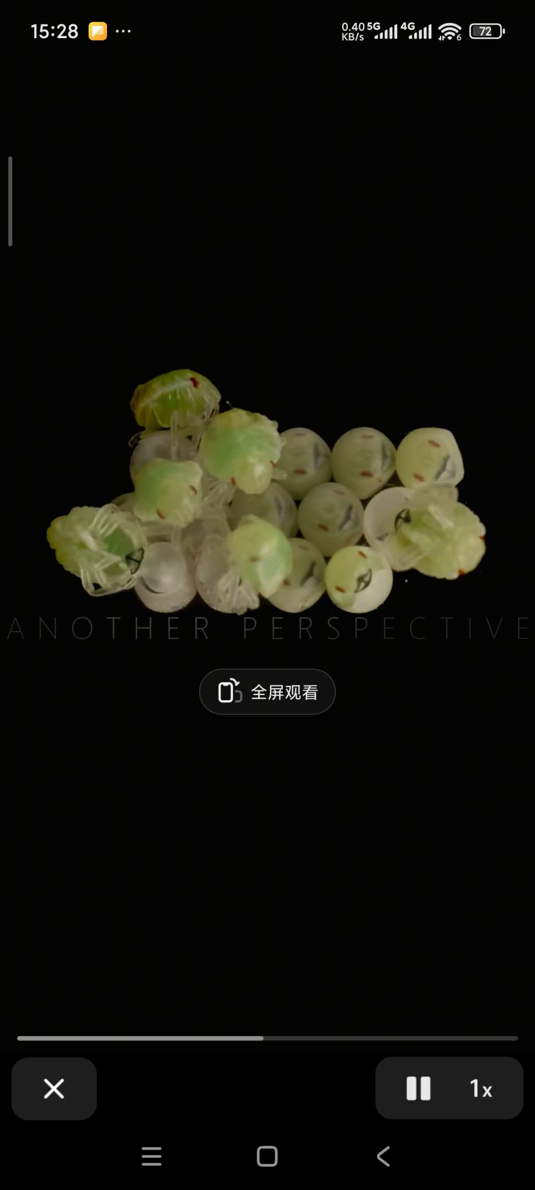 发现史莱姆进化全过程 2