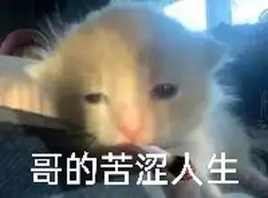 我真没招了 2