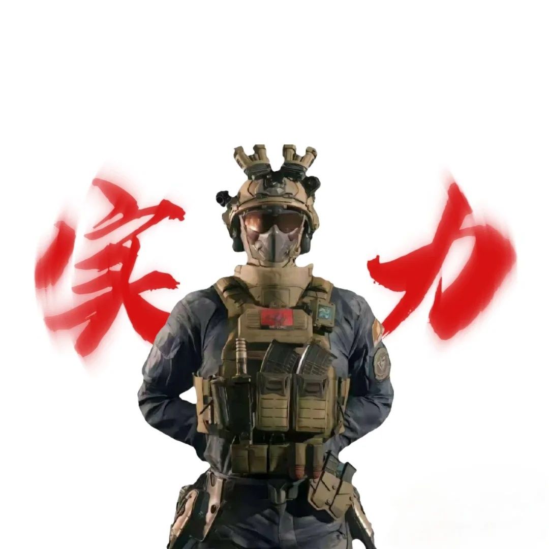 三角洲行动威龙权威。要图自己拿 3