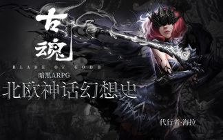 【刘大锤讲魂卡故事】冥界女王？失忆的代行者？千面海拉的诞生（上）