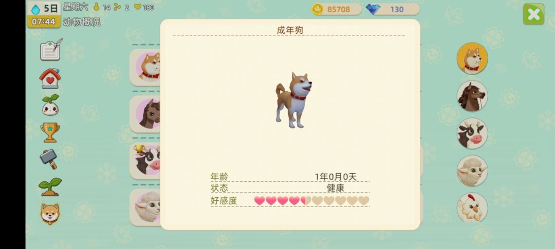 成年狗 2