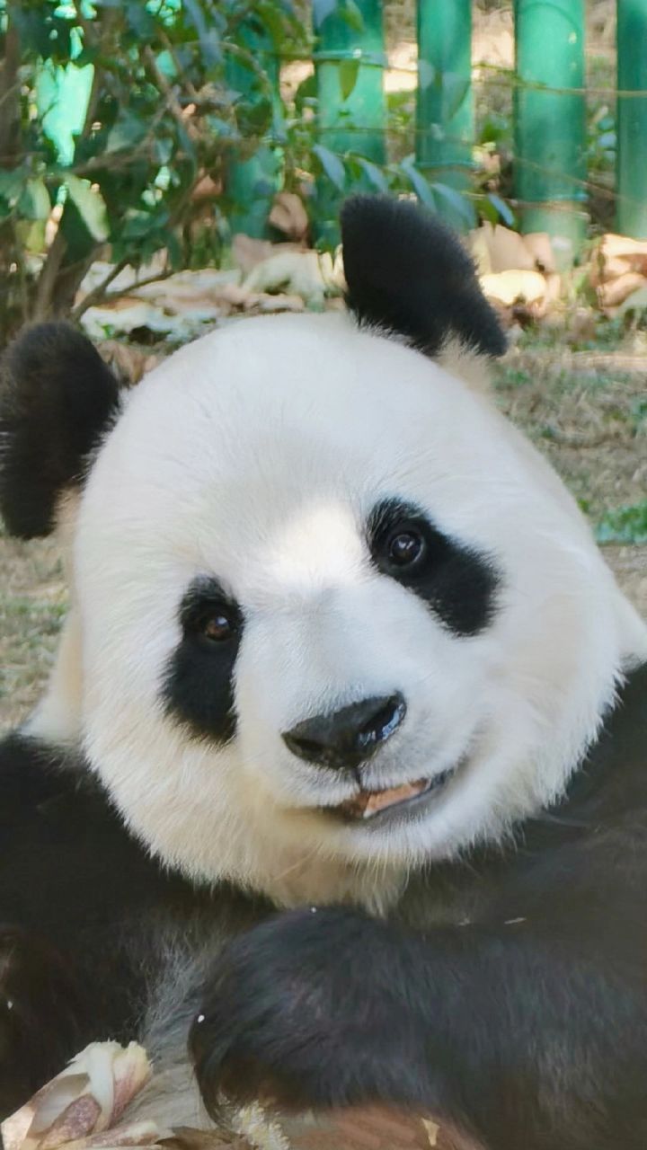 听说抽签参加内测?截图