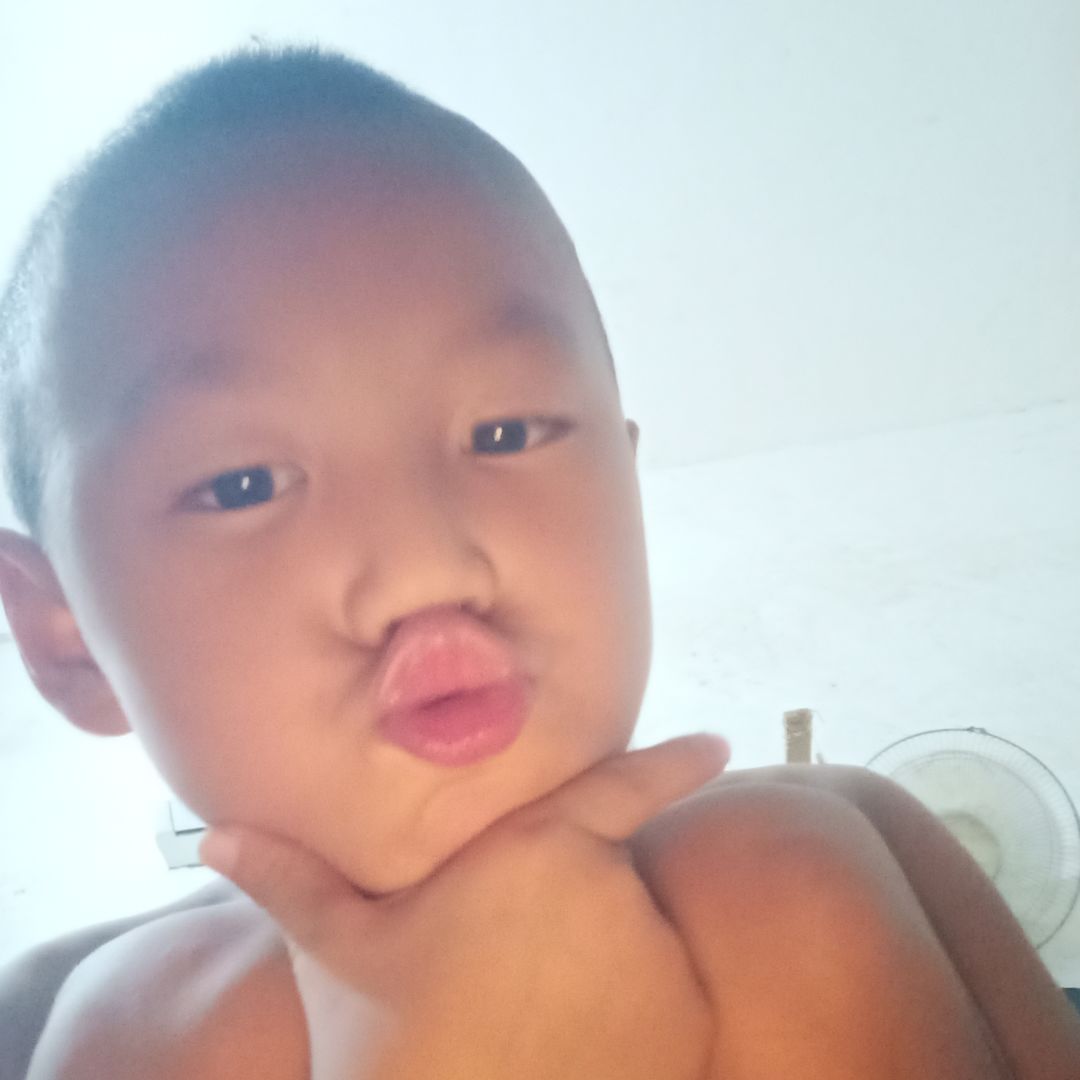 动态图片 1