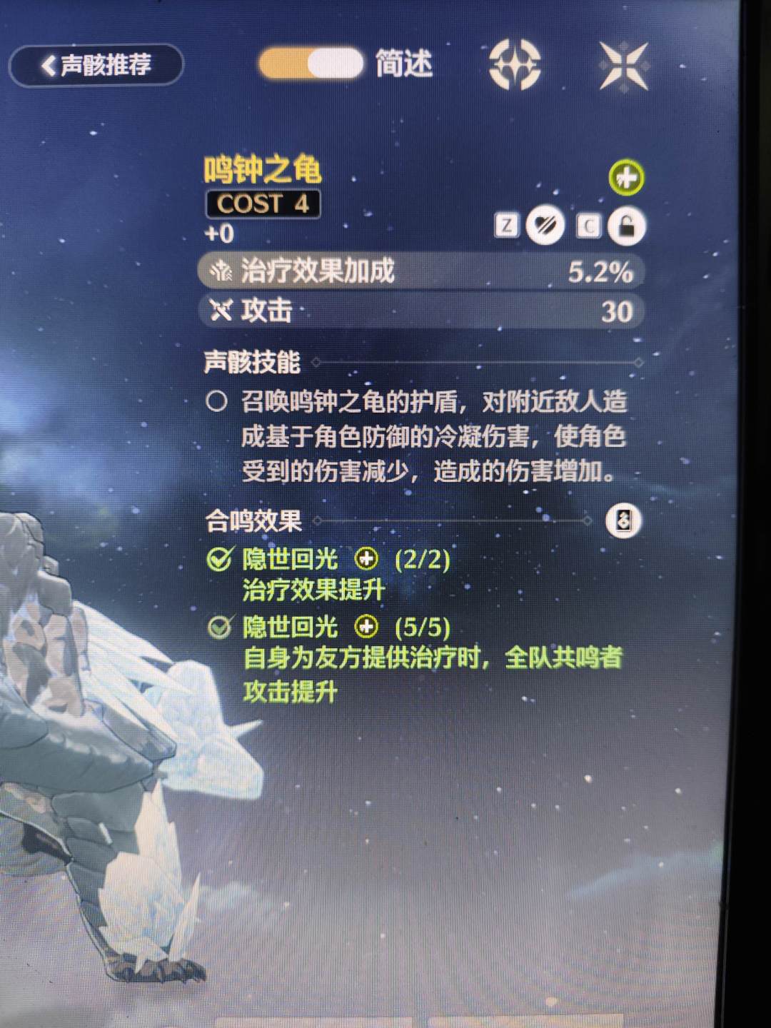 这大乌龟要哪个好 2