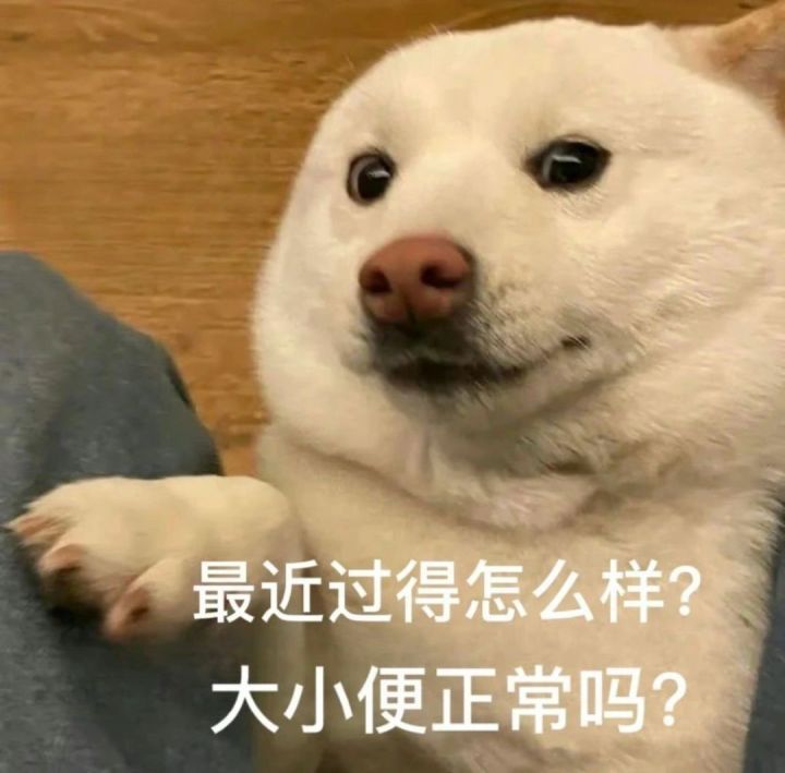 大佬们现在可以入坑嘛截图