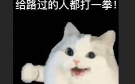 就说橘猫战斗力max吧！开着飞船打巨怪简直是洒洒水1截图