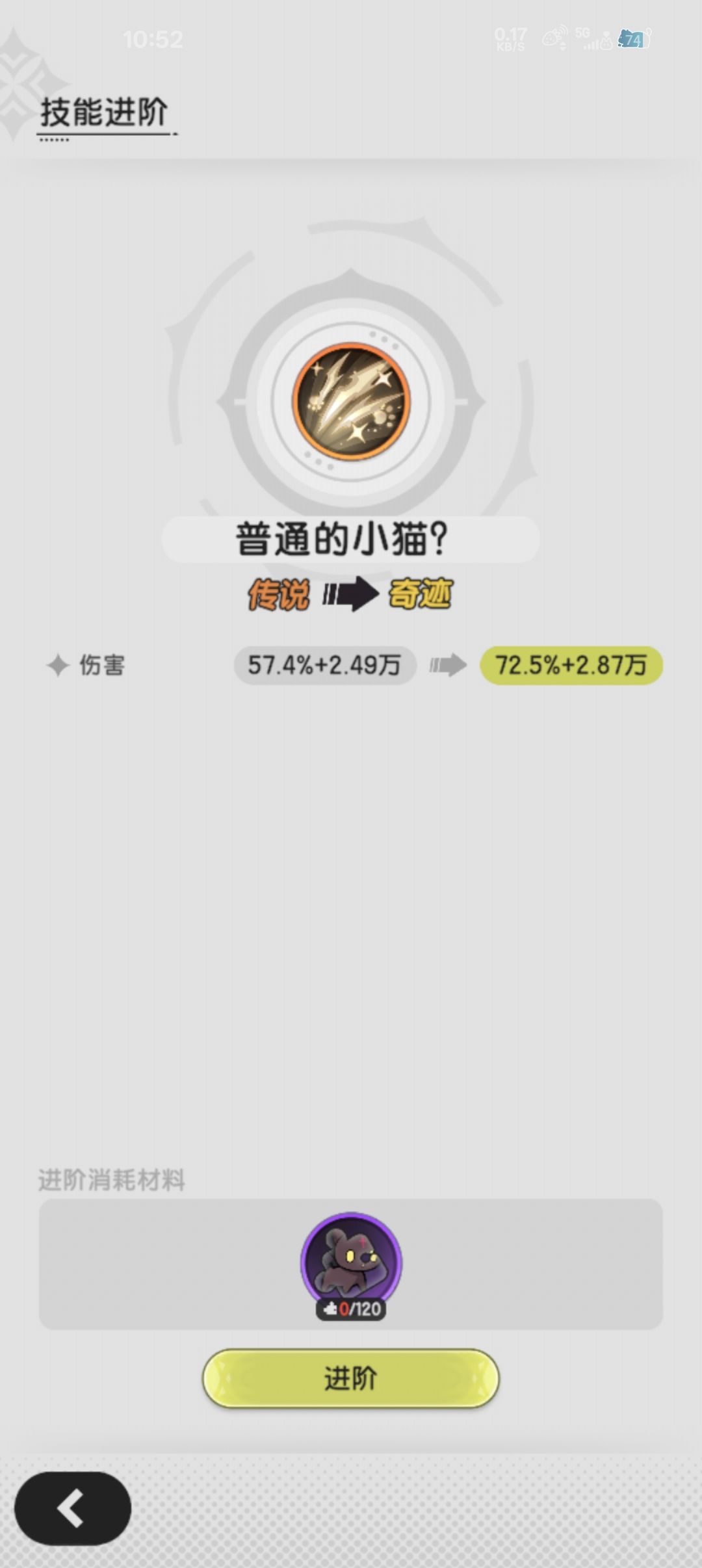 幻兽小猫为差一个? 1