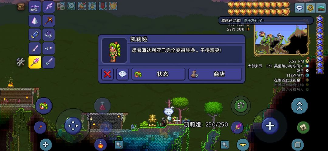 终于全净化了 3