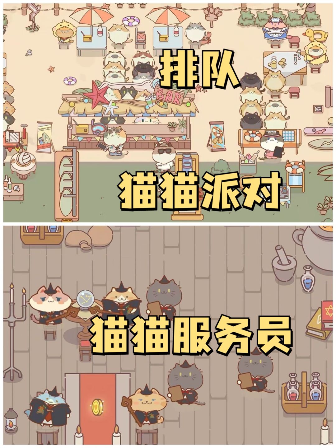 🌟和猫猫一起在沙滩打排球🌟 2