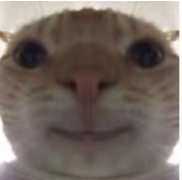 希望能获得测试资格