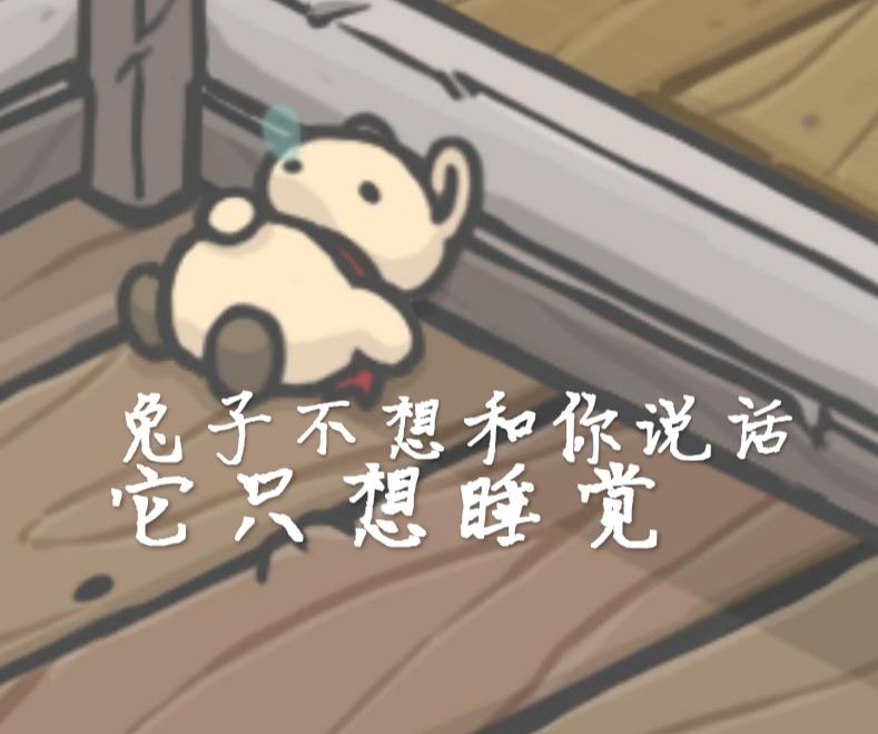 动态图片 4
