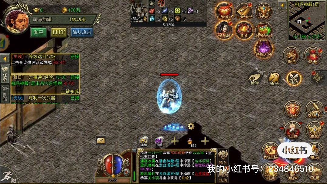 动态图片 2