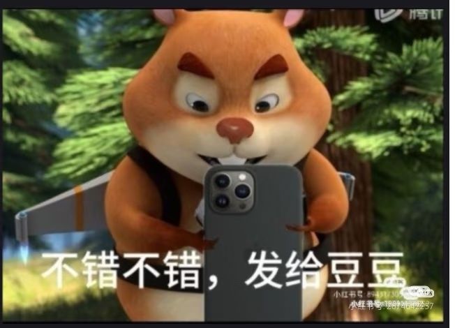 动态图片 4