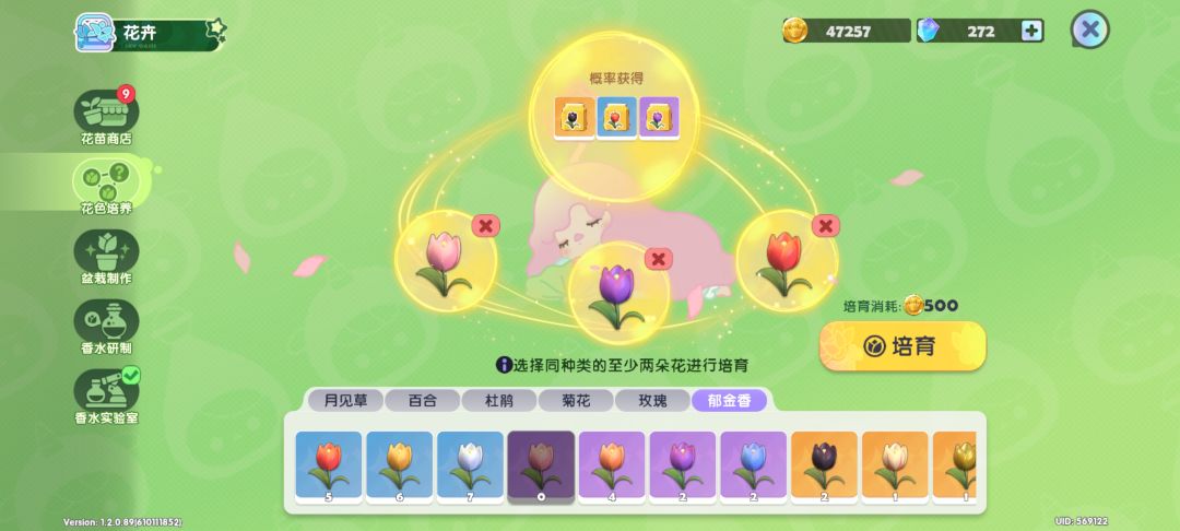 【花卉培养攻略】郁金香 稀有花色合成公式 3