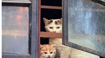 你看太阳现在这么暖，晒晒太阳补充能量吧