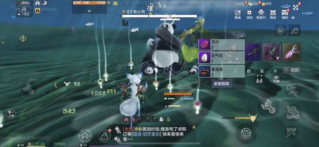 动态图片 2