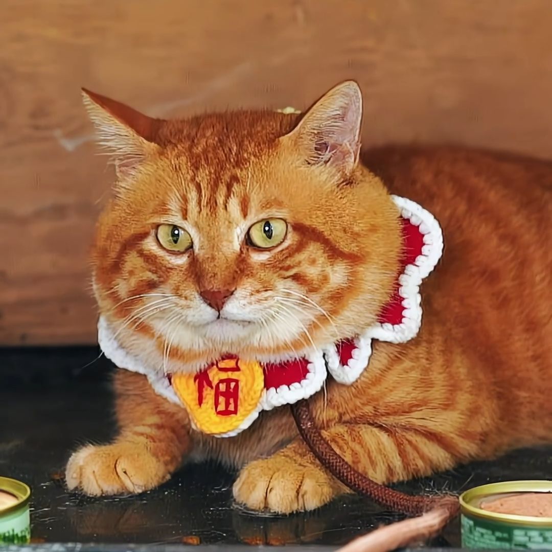 大佬们,刚刚入坑 1