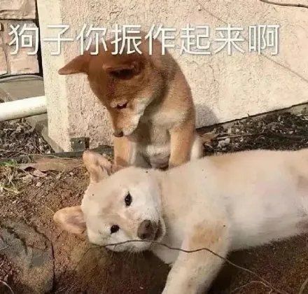 刚刚花了1.3w抽了5片瓷砖截图