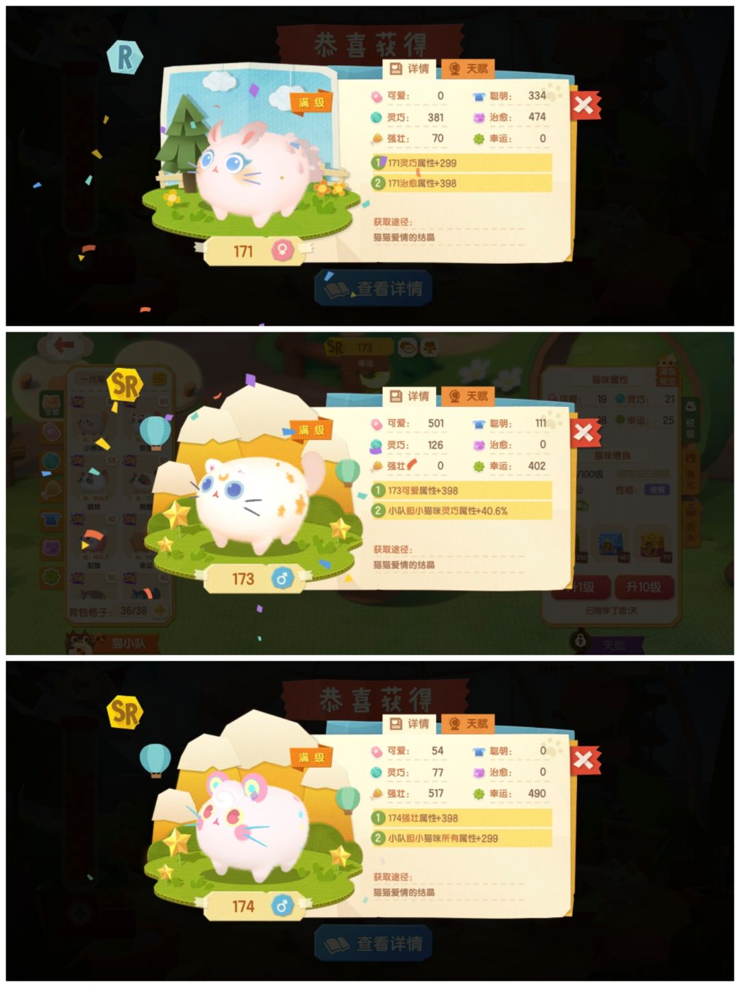 动态图片 4