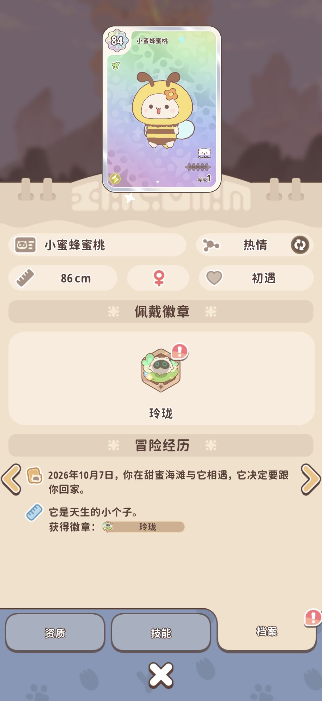 动态图片 4