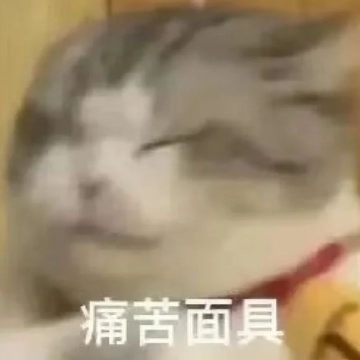 才抽四星截图