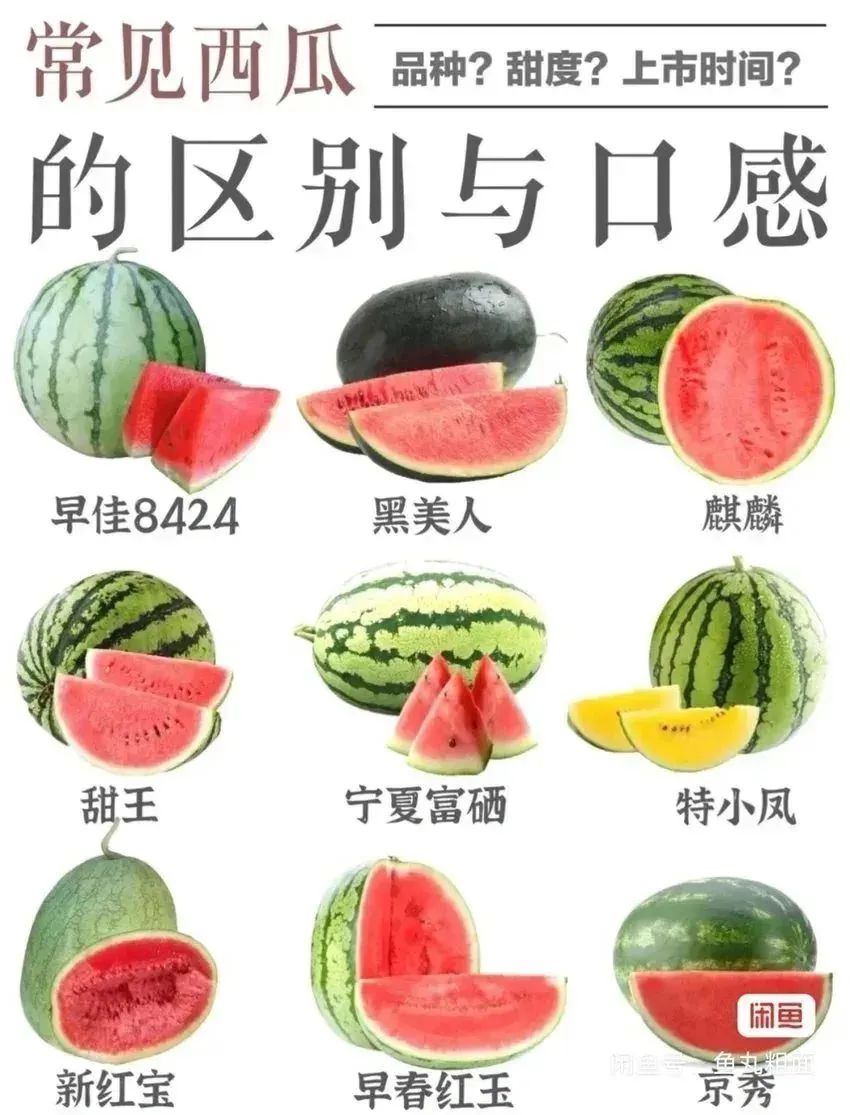 💥青年大学习|如何挑选西瓜❗ 2