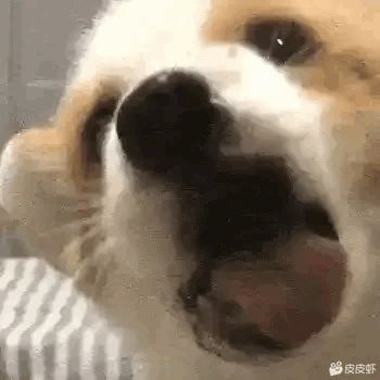 有没有玩家组建的群,大家一起探讨一下游戏呗截图