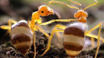 普适发展建议-3