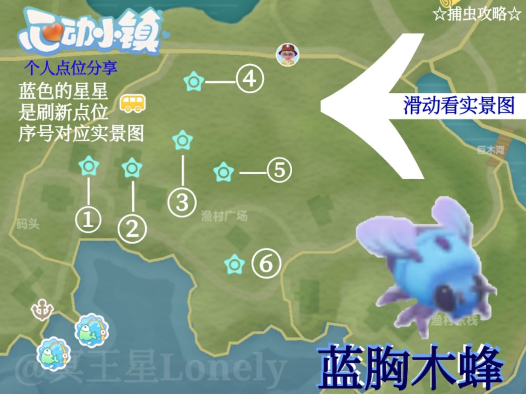 【心动小镇】捕虫攻略:蓝胸木蜂『🌈』 2