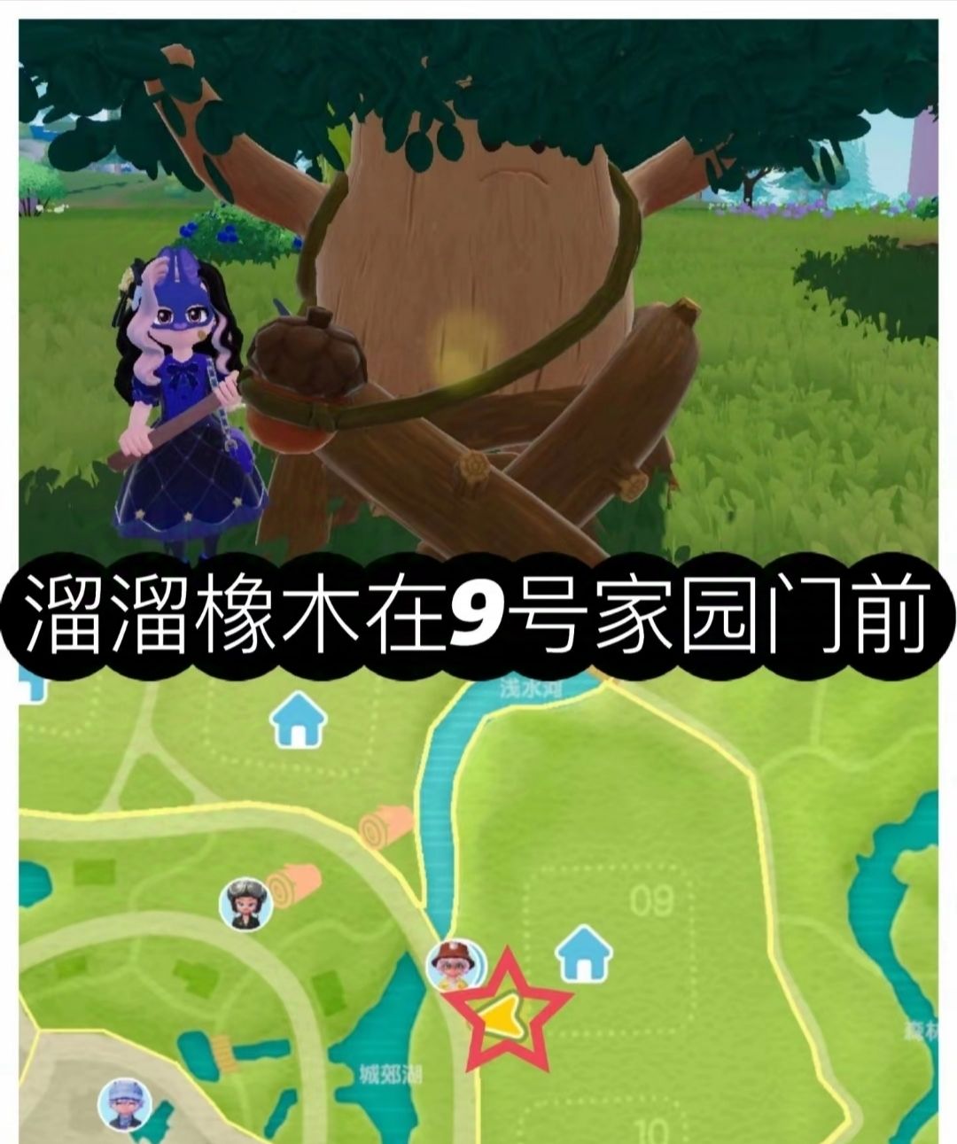 [11月3日]今天日常 3